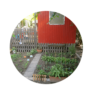 German-local-initiative
